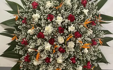 Vera Cruz Funerária