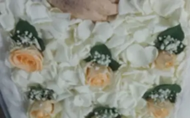 Vera Cruz Funerária