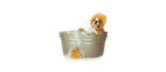 banho-tosa-de-animais-brasilia-1481910233