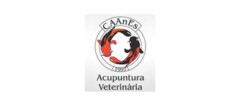 caanes-brasilia-1481912676