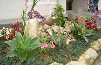 Planterra Jardinagem - Foto 1