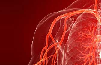 Angiocentro Centro de Angiologia e Cirurgia Vascular - Foto 1