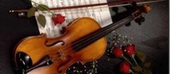 bandas-para-casamentos-e-festas-brasilia-1483377235
