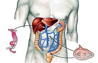 Gastrocentro Centro Gastro Endoscopia Digestiva - Foto 1