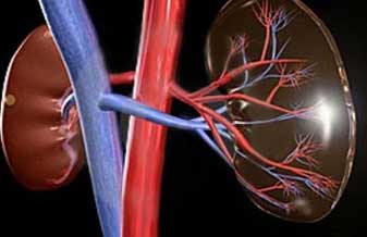 CDRB – Clínica de Doenças Renais de Brasília - Foto 1