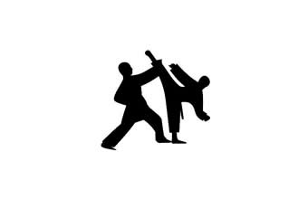 Taekwondo Brasília – Professor Vinicius Avelino - Foto 1