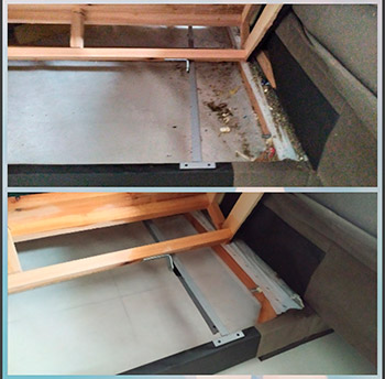 Especialistas Higienização - Foto 1