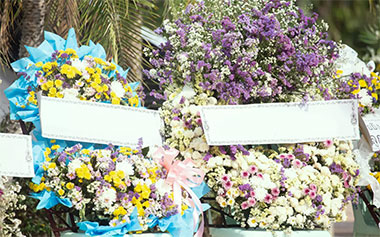 Funerária Vera Cruz - Foto 3