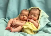 proteção de bebês prematuros contra VSR