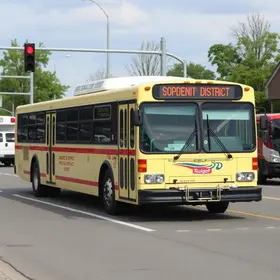 renovação da frota de ônibus