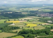 Justiça proíbe venda de área ambiental no DF