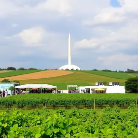 evento de vinícolas em Brasília