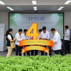 IPEDF