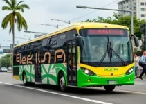 ônibus elétricos