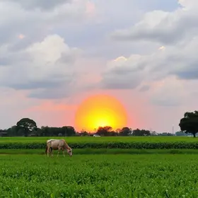 Outlook Agro Brasil