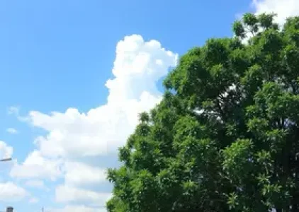 Últimas noticias de Brasília