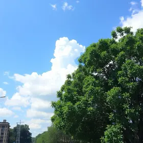 Brasília