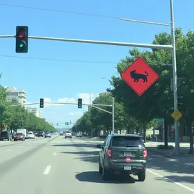 trânsito no Plano Piloto