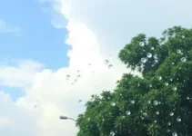 baixa umidade