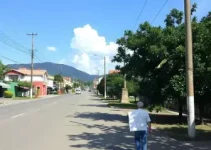 eleitores ausentes no Distrito Federal