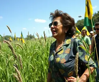 caminhada de campanha no Distrito Federal